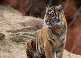 A'Famosa Safari Wonderland.